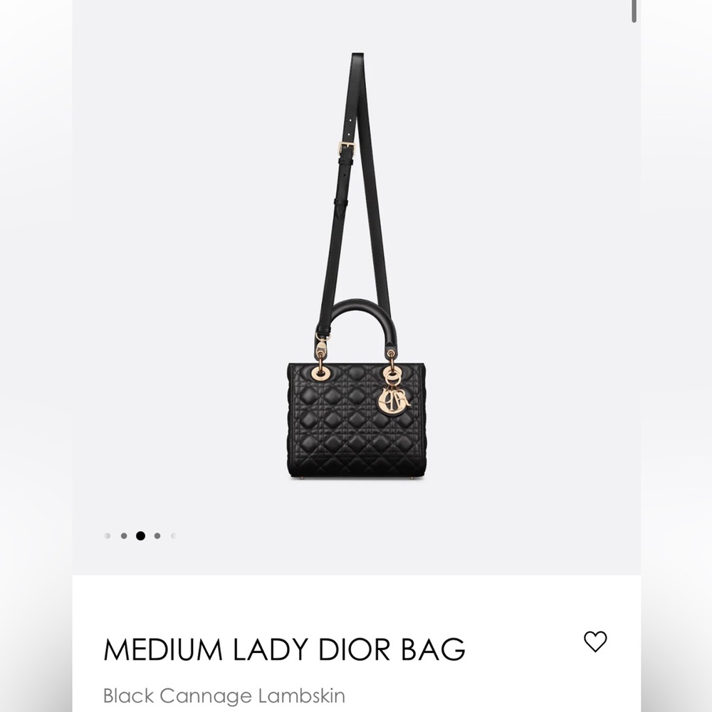 Lady Dior bag ( limited edition). - Picture 13 of 15